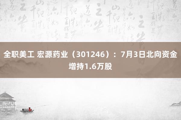 全职美工 宏源药业（301246）：7月3日北向资金增持1.6万股