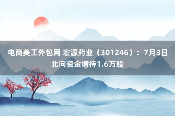 电商美工外包网 宏源药业（301246）：7月3日北向资金增持1.6万股