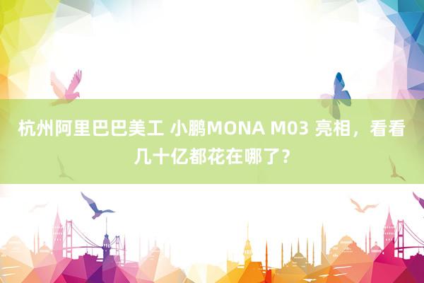 杭州阿里巴巴美工 小鹏MONA M03 亮相，看看几十亿都花在哪了？